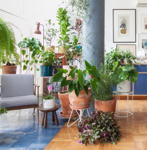 De decoração com plantas a umidificadores: saiba como deixar sua casa mais fresca no verão
